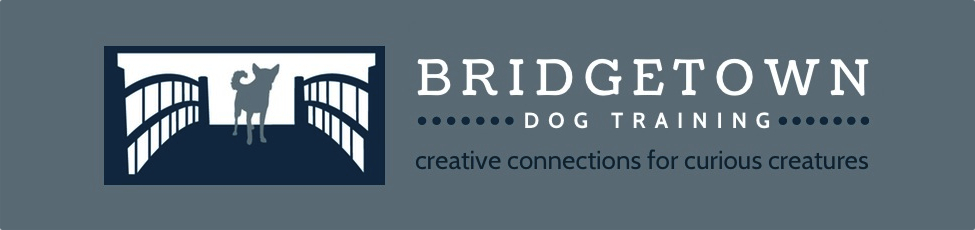 Bridgetown Dog Training